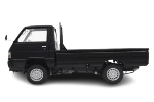 L300