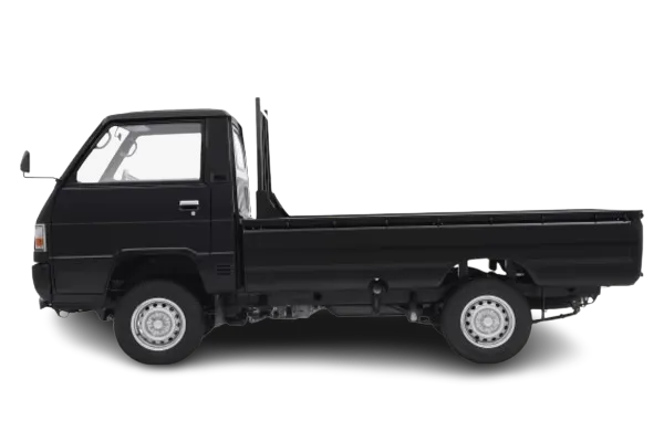 L300